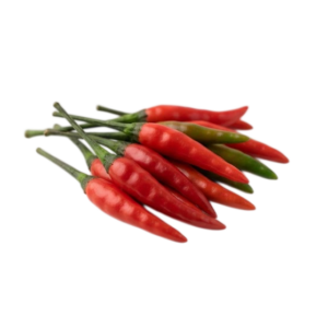 Bird chilli