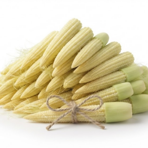 Fresh Young Corn