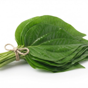 Fresh betel leaves