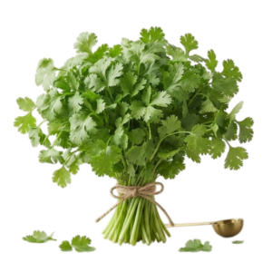 Coriander