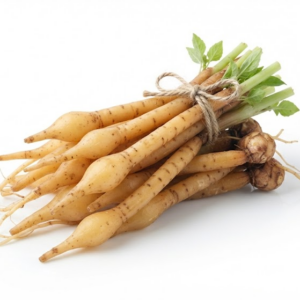 Fingerroot